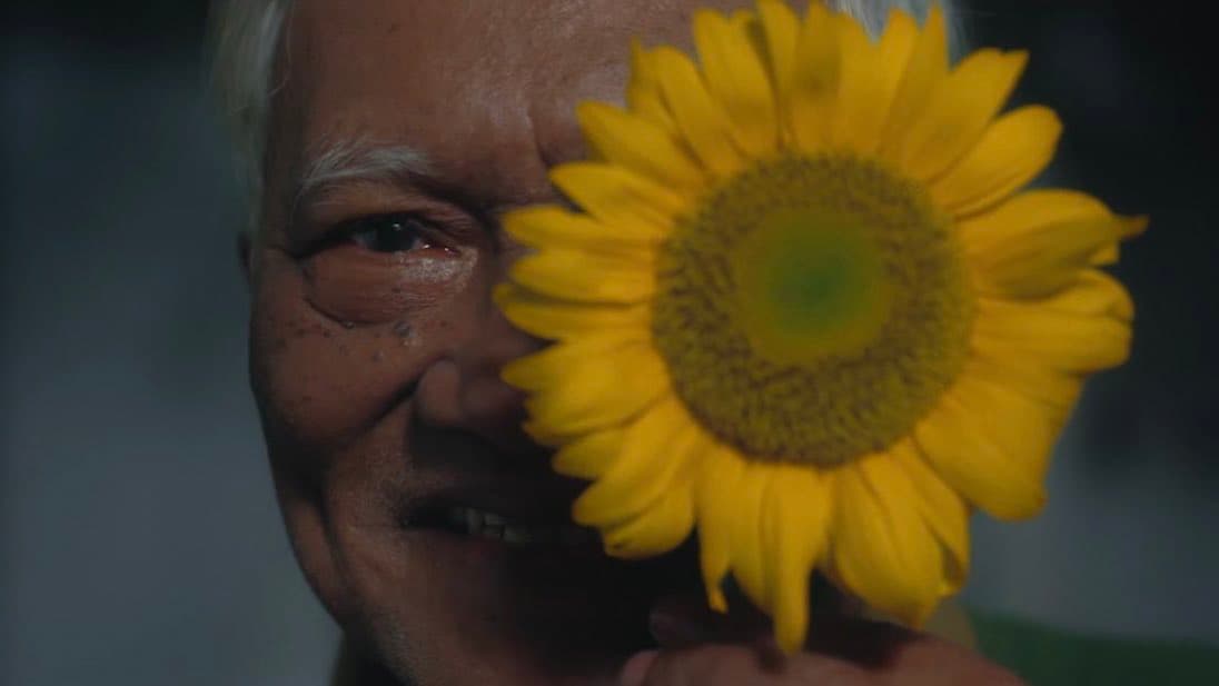 Ini Dia Arti Tersembunyi Dibalik Gala Bunga Matahari yang Sedang Viral