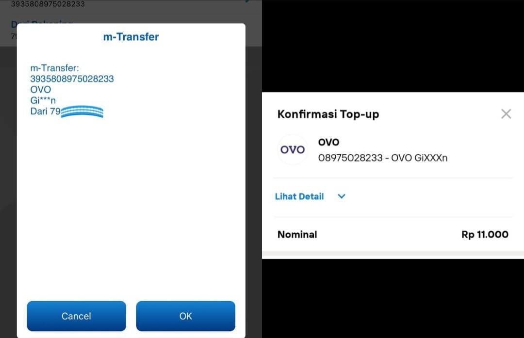 Banjir Transferan, Warganet Coba Kirim Saldo GoPay ke Nomor Kaskus Fufufafa, Setelah Dicoba Pakai Mbanking Ternyata Ini yang Keluar