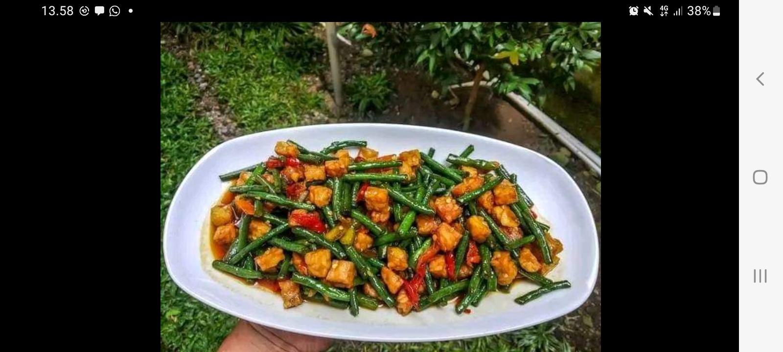 Satset, Resep Mudah Bikin Tumis Kacang Panjang dan Tempe, Menu Enak Keluarga