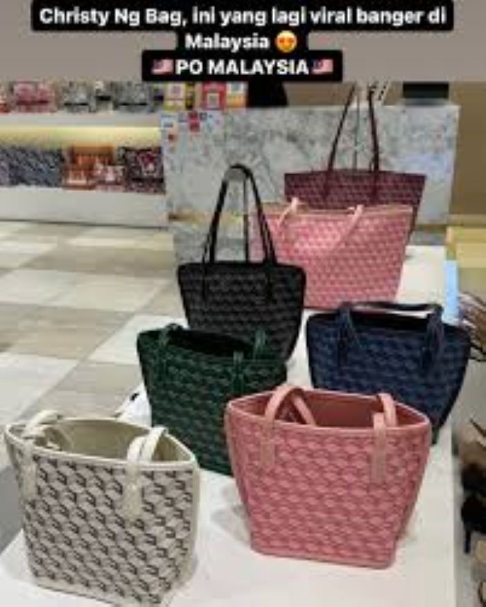 Berikut 5 Rekomendasi Tas Christy Ng Terbaik, Desain Cantik dengan Kualitas Menarik, Cocok untuk Wanita Modern