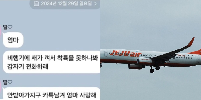 Bikin Nyesek! Pesan Menyentuh Penumpang Pesawat Jeju Air Sebelum Jatuh Kepada Ibunya Terungkap: Aku Sayang Ibu, Aku Tidak Bisa Mendarat