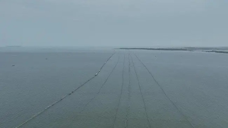 Persaudaraan Tani dan Nelayan Indonesia Akan Somasi dan Laporkan ke Polisi Pembuat Pagar Laut di Pesisir Tangerang