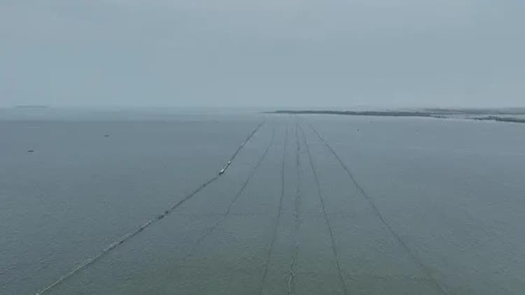 Persaudaraan Tani dan Nelayan Indonesia Akan Somasi dan Laporkan ke Polisi Pembuat Pagar Laut di Pesisir Tangerang