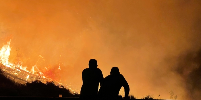 3 Fakta Terbaru Kebakaran Los Angeles, Api Semakin Merembet, Seorang Artis Jadi Korban Tewas