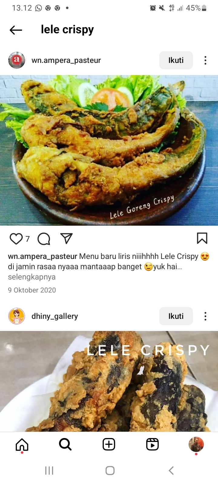 Bumbu Lele Crispy dan Cara Bikin Mudah, Cocok Buat Makan Anak-anak