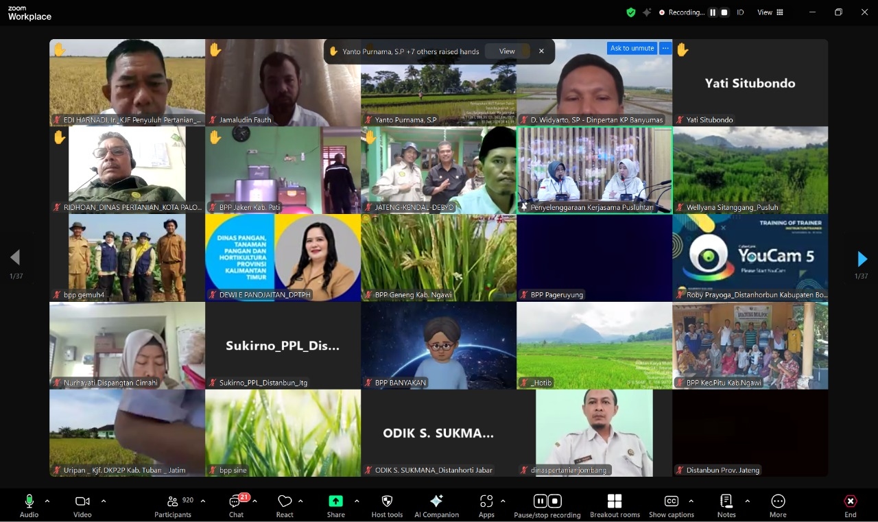 Siap Swasembada Pangan, Kementan Percepat LTT Melalui Pelaporan E-Pusluh