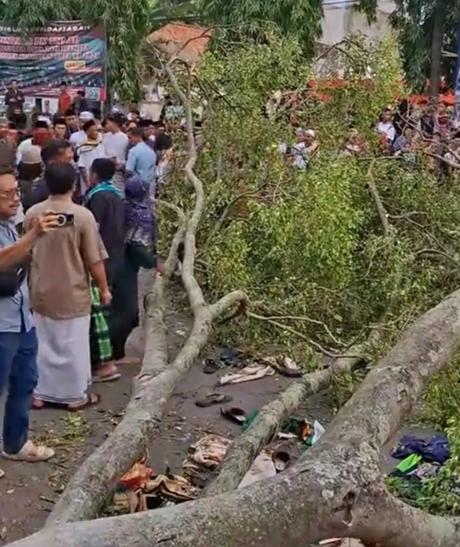 Innalilahi, Sebuah Pohon di Pemalang Tumbang Menimpa Jemaah Sholat Ied, Dua Orang Dinyatakan Tewas dan Puluhan Luka-luka