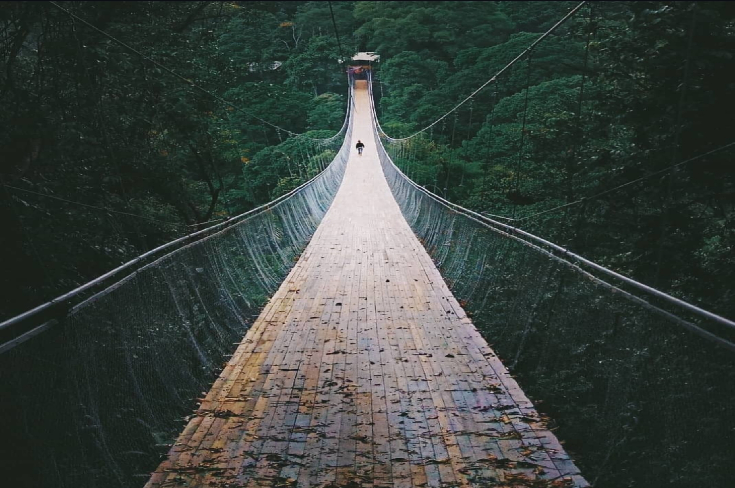 Menjelajah Keindahan Alam dan Budaya di Desa Wisata Cisaat, Destinasi Tersembunyi Dekat Jakarta