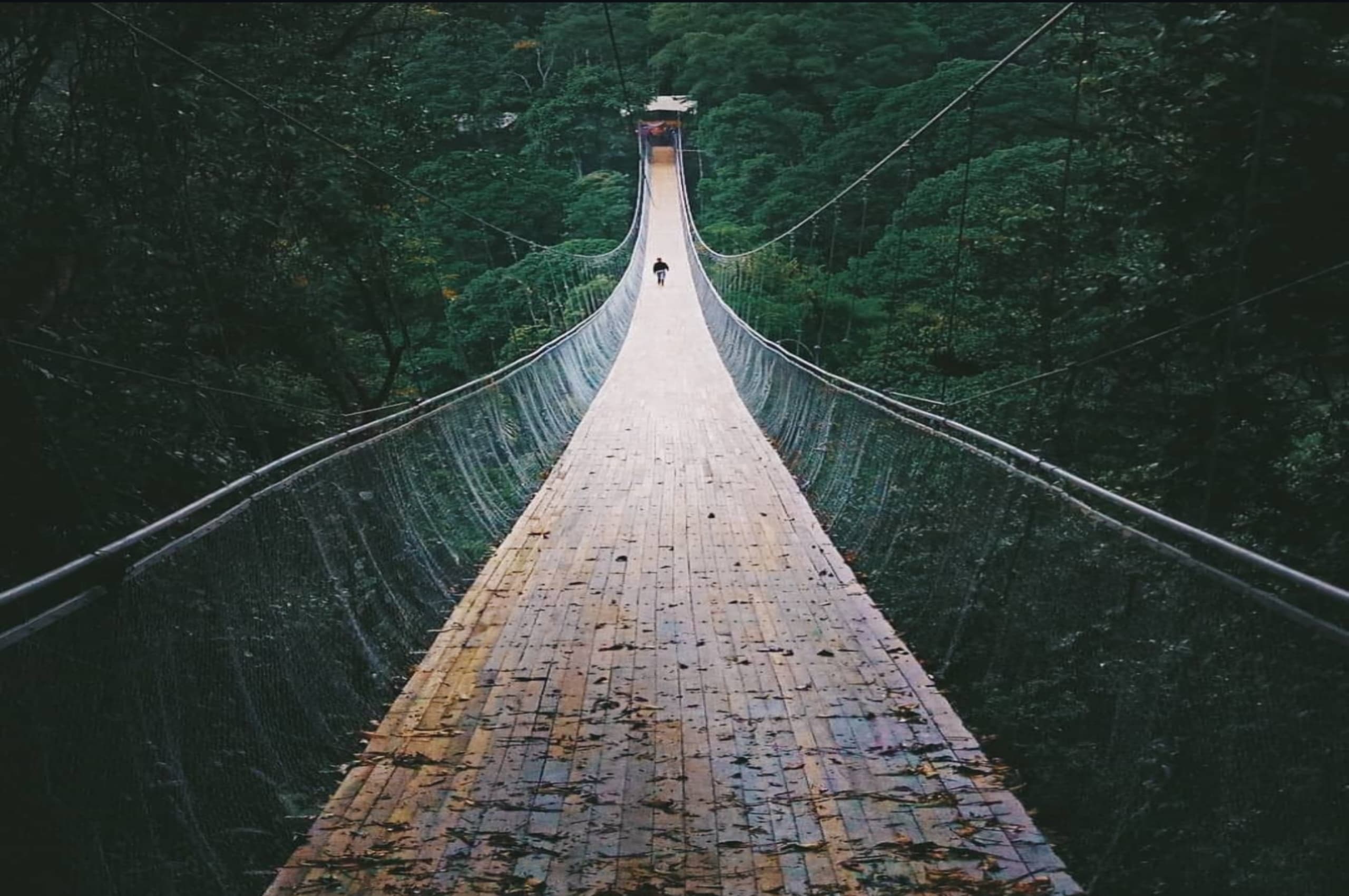 Menjelajah Keindahan Alam dan Budaya di Desa Wisata Cisaat, Destinasi Tersembunyi Dekat Jakarta