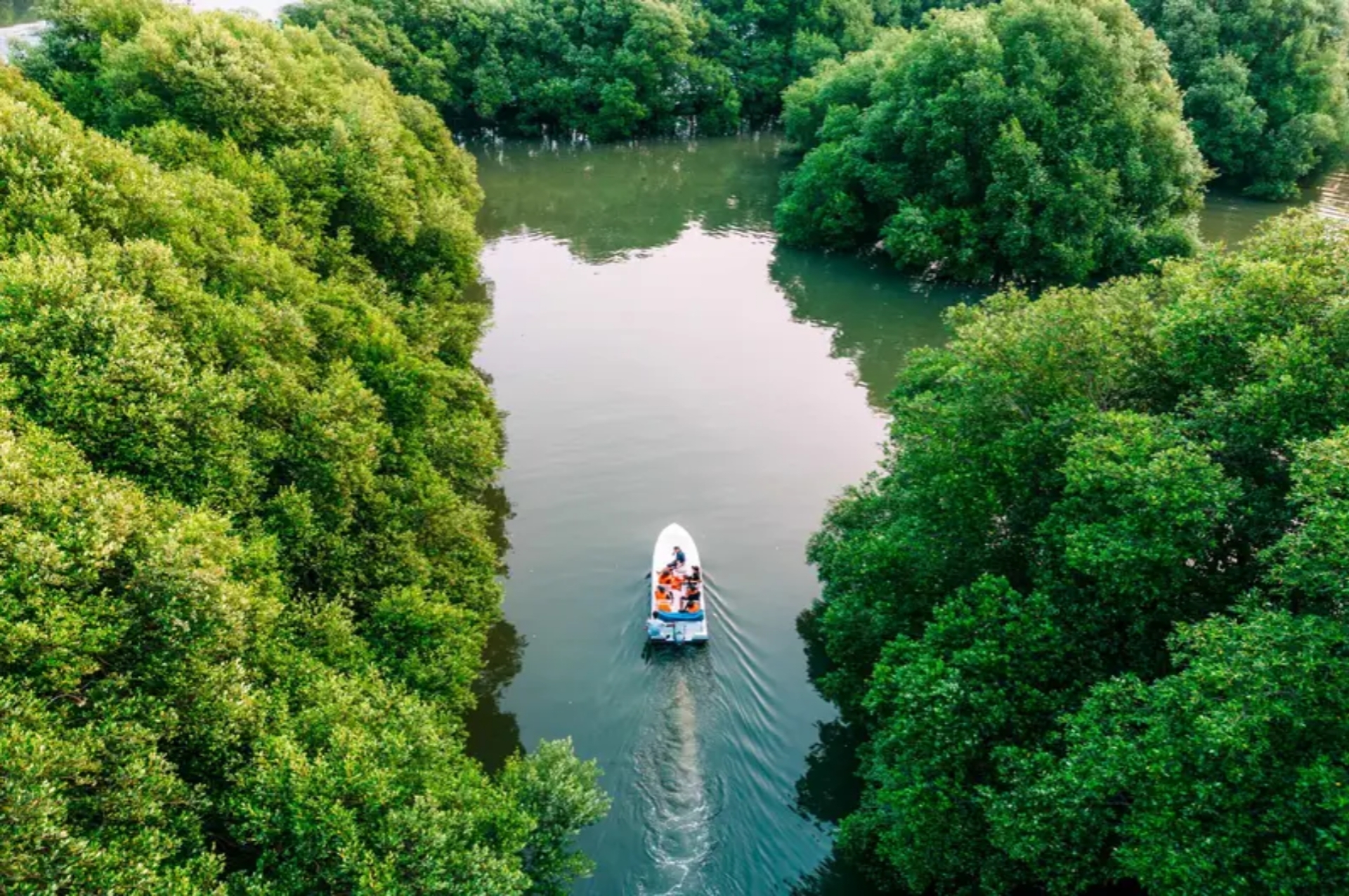 Daftar 8 Destinasi Wisata Pantai Indah Kapuk yang Wajib Masuk Wishlist Kamu di Musim Liburan