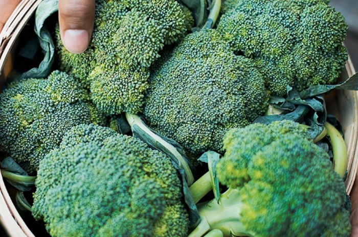 Jangan Remehkan 4 Sayuran Murah Ini, Kandungannya Bisa Cegah Kanker