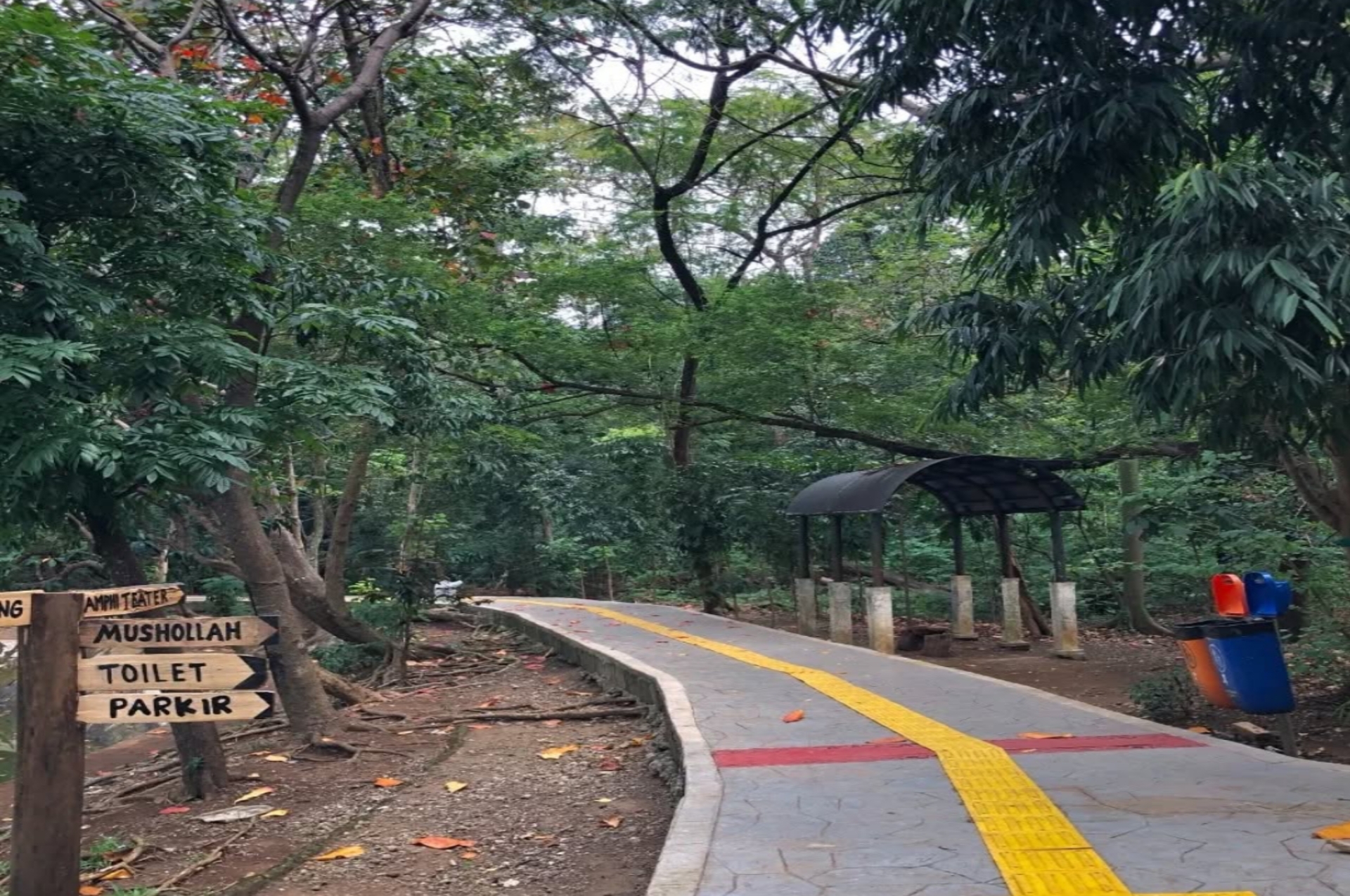 Hutan Kota Srengseng: Ruang Hijau Tenang di Tengah Hiruk Pikuk Jakarta