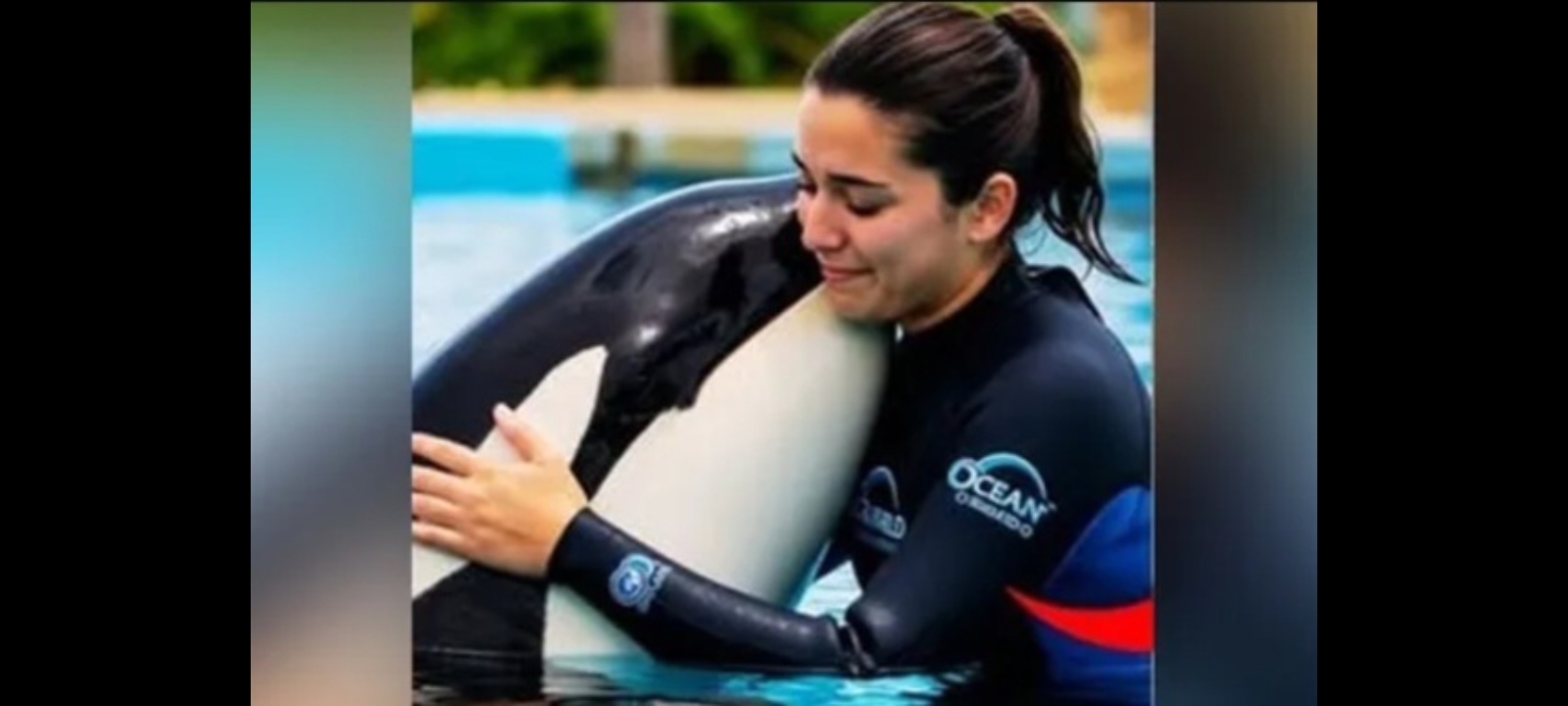 Viral Pelatih Orca Jessica Radcliffe Tewas Diserang Paus Pembunuh saat Atraksi, Faktanya