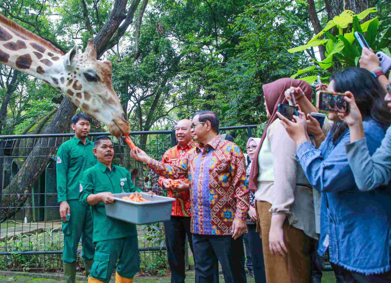 Pramono Bakal Revitalisasi Taman Margasatwa Ragunan, Mulai dari Peningkatan Lahan Parkir hingga Perpanjangan Jam Operasional