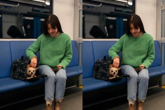 Hewan Tak Boleh Naik Kereta Penumpang, Ini Alternatif Resmi dari KAI