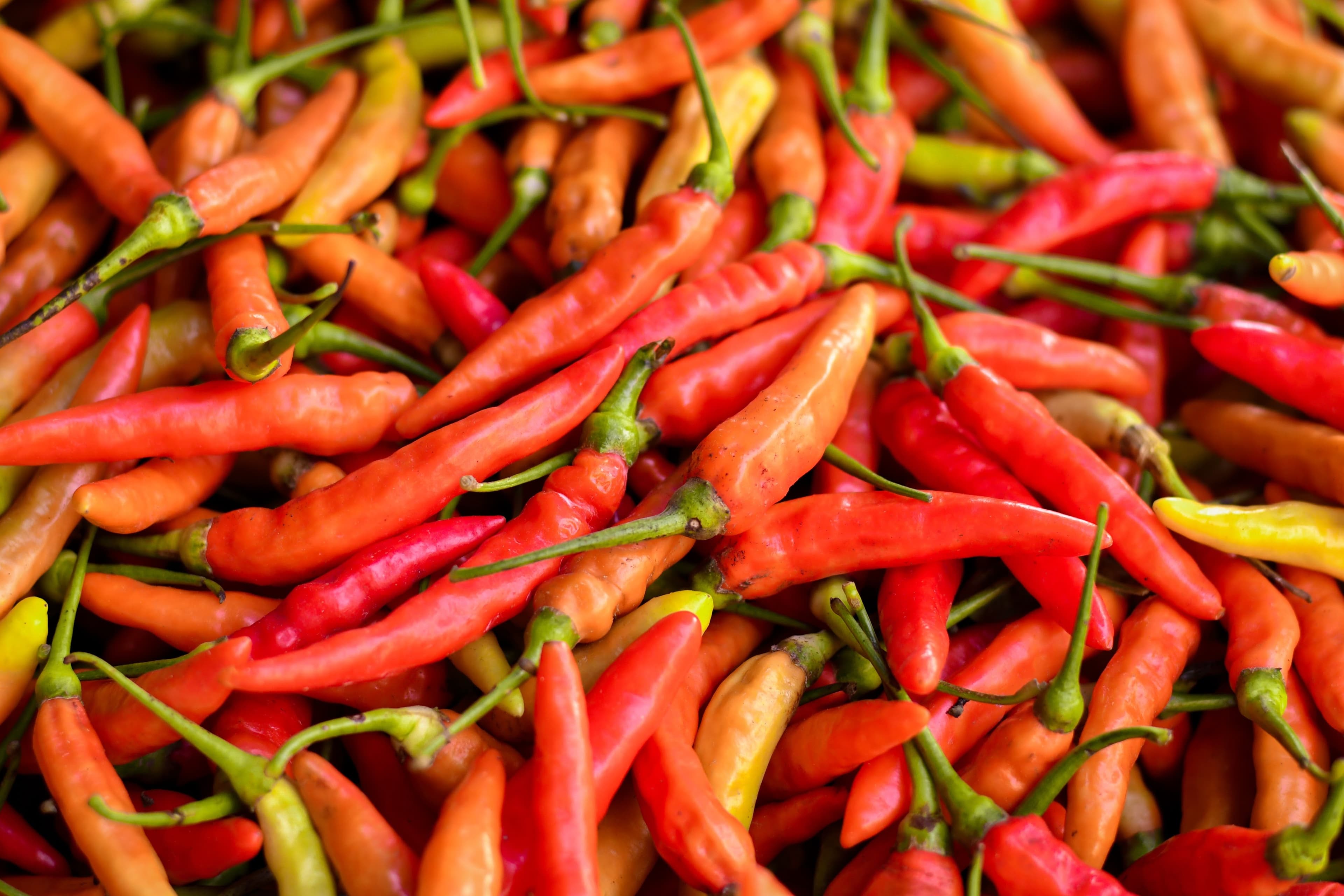 Harga Pangan Bergejolak: Beras Turun, Cabai dan Bawang Meroket