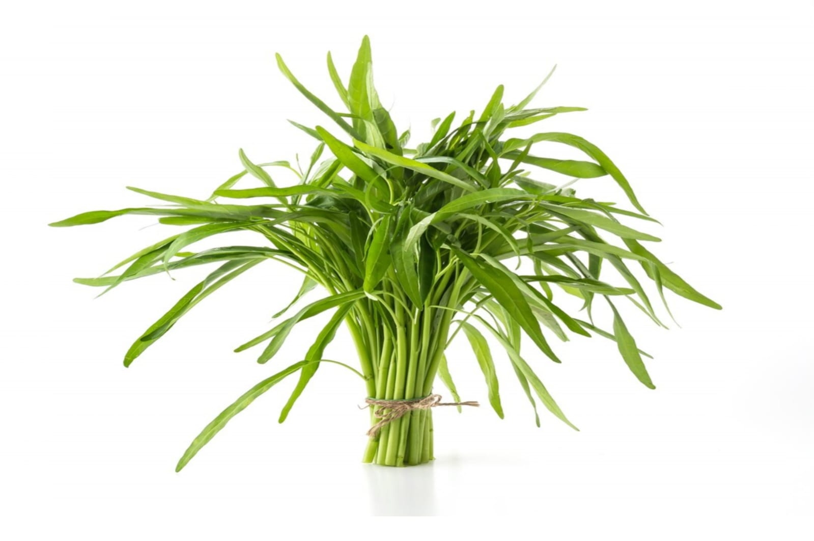 Waspadai Konsumsi Kangkung dan Genjer, Tanaman Bioremediator yang Bisa Membahayakan Kesehatan