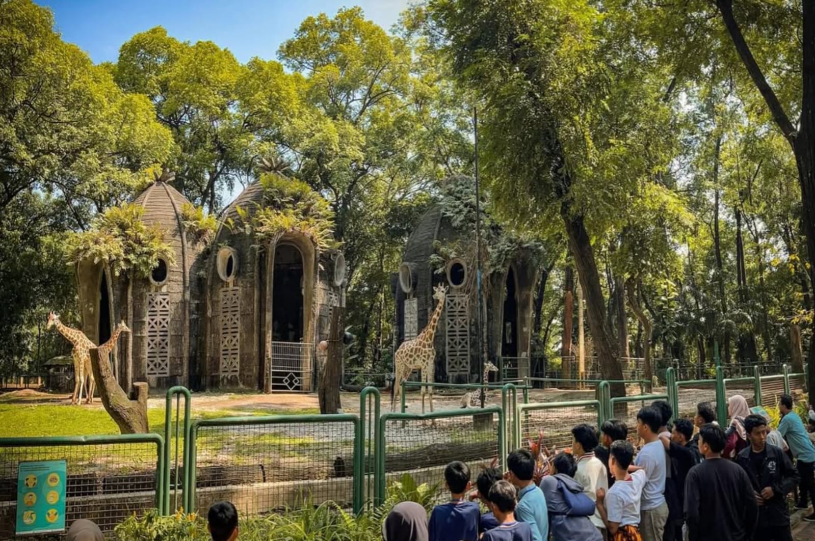 Mau ke Ragunan Saat Nataru? Ini Hal Penting yang Harus Kamu Tahu