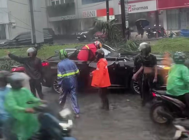 10 Pohon Tumbang di Jakarta Akibat Cuaca Ekstrem, Sebabkan Kerusakan Mobil hingga Kandang Kambing