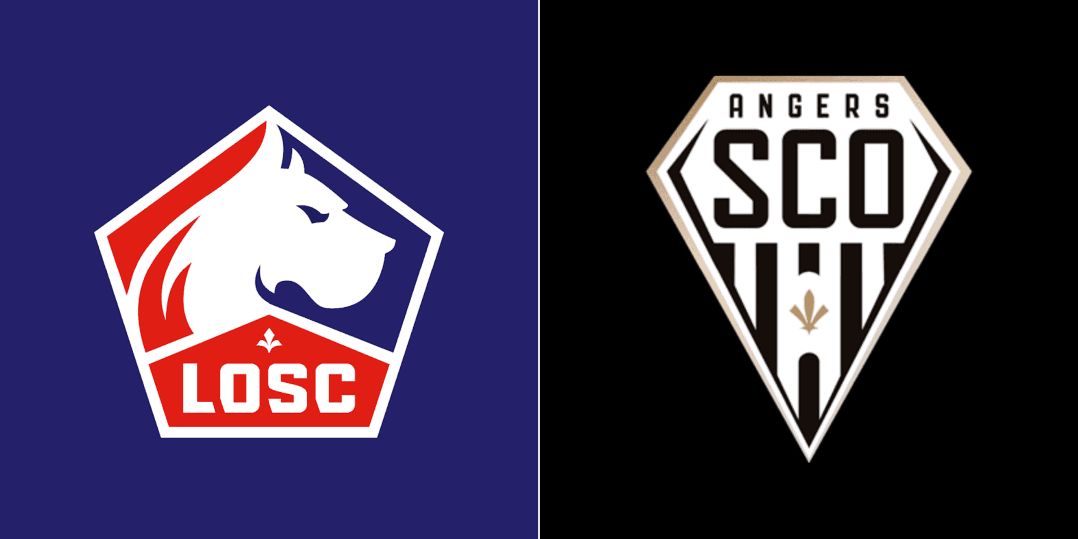 Prediksi Skor Lille vs Angers di Ligue 1, 2 November 2025: Les Dogues Siap Bangkit di Pierre-Mauroy
