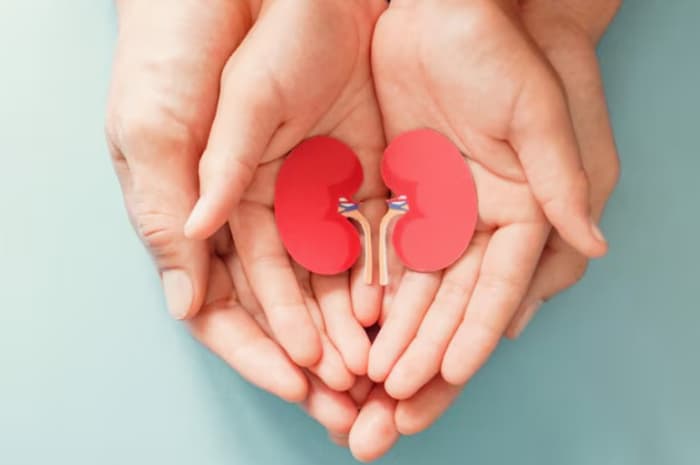 5 Makanan Pemicu Kerusakan Ginjal, Nomor Tiga Paling Sering Dikonsumsi