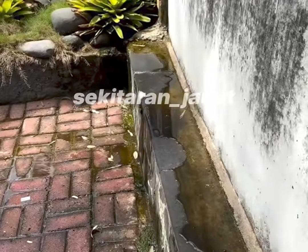 DPRD DKI Dukung Percepatan Perbaikan Tanggul Pantai Mutiara yang Rembes, Minta Mitigasi Menyeluruh di Pesisir