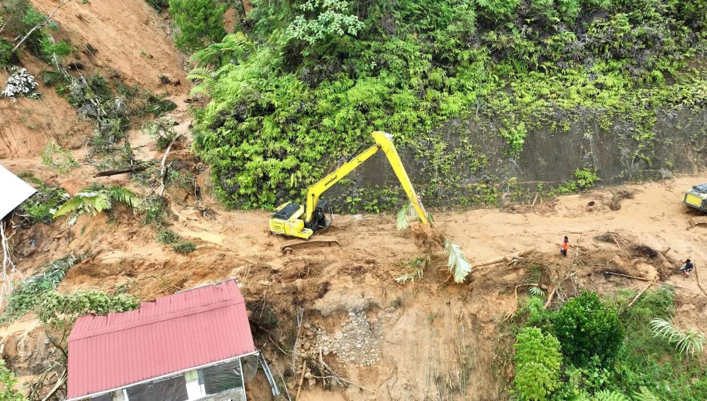 Alibi Curah Hujan Ekstrem, Walhi Sebut Kerusakan Hutan Batang Toru Jadi Pemicu Utama Bencana