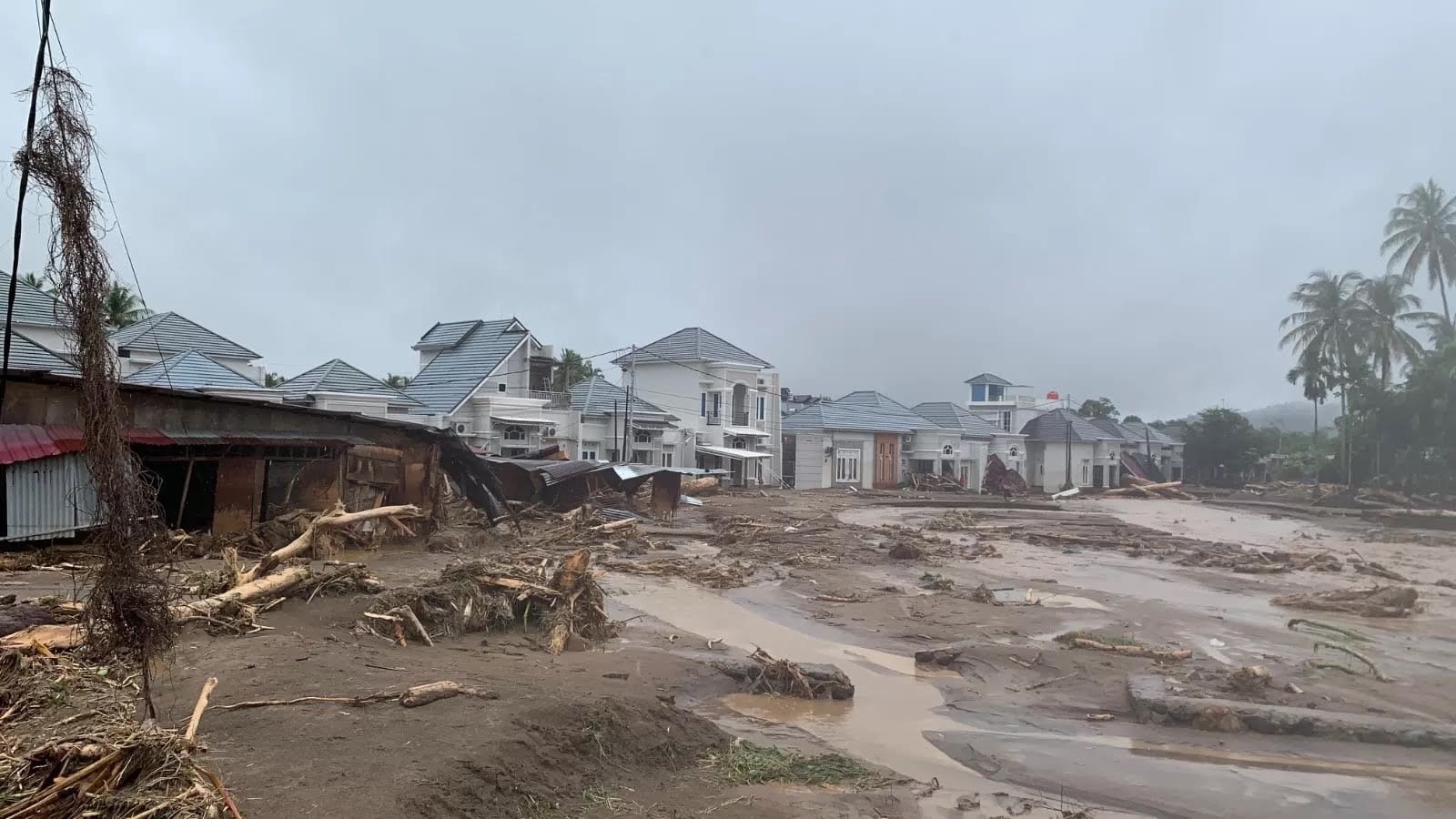 Titiek Soeharto Desak Pemerintah Berantas Pembalakan dan Tambang Liar di Hulu, Ancam Batalkan Izin