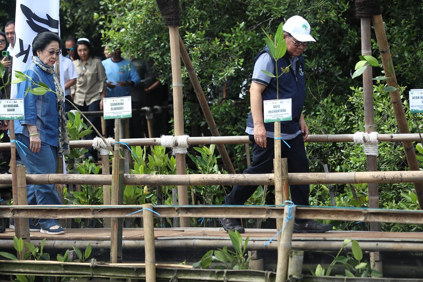 Ancaman Abrasi dan Rob di Pesisir Utara, Pemprov DKI Susun Regulasi Pemanfaatan dan Pengendalian Mangrove