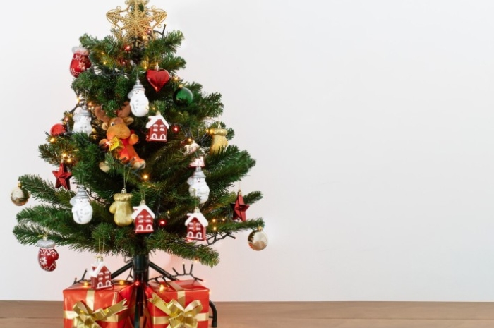 Tak Punya Pohon Cemara? Ini 10 Tanaman Hias Pengganti Dekorasi Natal 2025 yang Lagi Tren