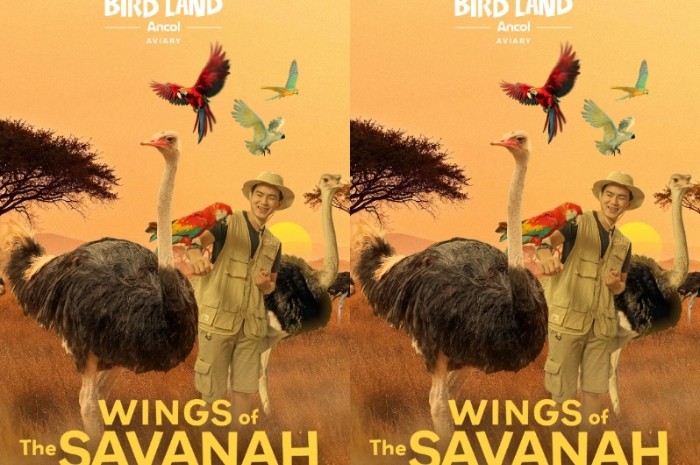 Ancol Siapkan "Liburan Penuh Ceria" untuk Natal 2025 dan Tahun Baru 2026