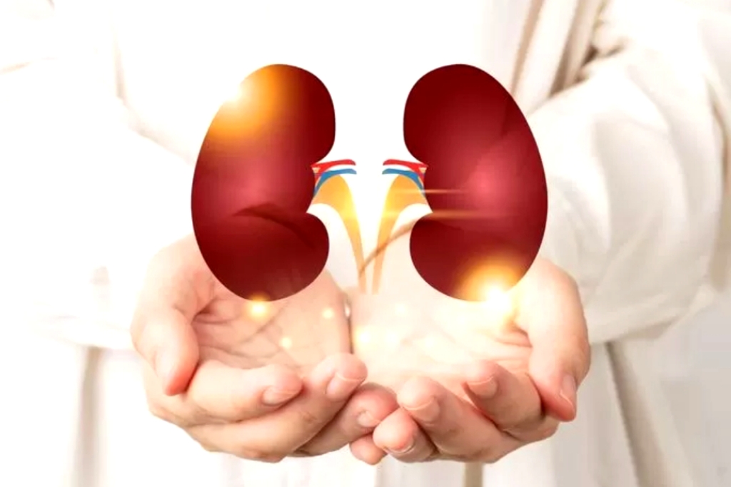 Hati-Hati, Asupan Harian Ini Bisa Picu Gangguan Ginjal